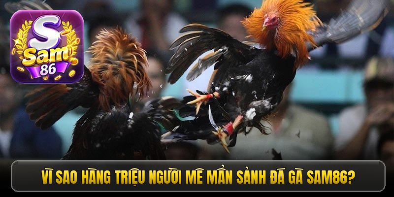 vi-sao-hang-trieu-nguoi-me-man-sanh-da-ga-sam86